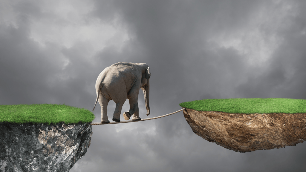 elephant tightroping as a play on balancing act of leadership
