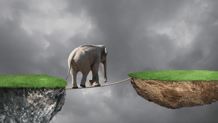 elephant tightroping as a play on balancing act of leadership